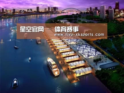 案例展示八
