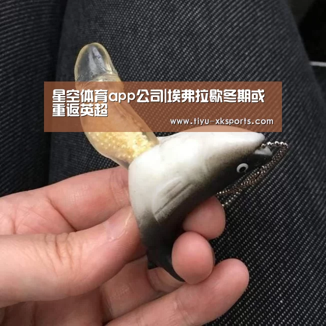 星空体育app公司|埃弗拉歇冬期或重返英超