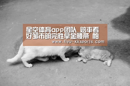 星空体育app团队